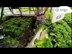 Heavy Duty Kuka Robot Arm Systems Untuk Robot KR DELTA Dalam Penanganan Pengemasan 7 Lengan Dof