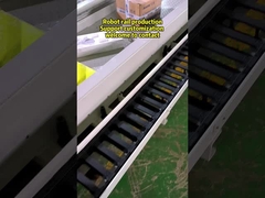 Apa potensi robot pemandu dalam produksi otomatis?